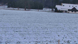 Rejvíz - Běžecké stopy