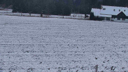 Rejvíz - Běžecké stopy