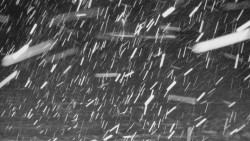 Rejvíz - Běžecké stopy