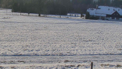 Rejvíz - Běžecké stopy
