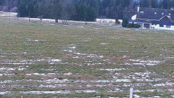 Rejvíz - Běžecké stopy