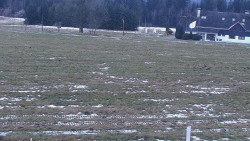 Rejvíz - Běžecké stopy