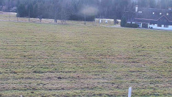 Rejvíz - Běžecké stopy