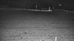 Rejvíz - Běžecké stopy