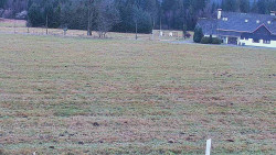 Rejvíz - Běžecké stopy