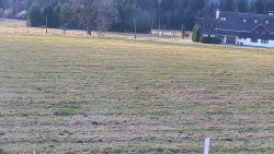 Rejvíz - Běžecké stopy