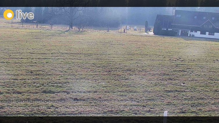 Rejvíz - Běžecké stopy - Rejvíz - Běžecké stopy - 14.12.2025 v 13:00