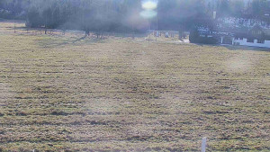 Rejvíz - Běžecké stopy - Rejvíz - Běžecké stopy - 16.12.2025 v 13:00 Rejvíz - Běžecké stopy - Rejvíz - Běžecké stopy - 16.12.2025 v 13:00