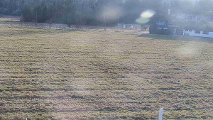 Rejvíz - Běžecké stopy - Rejvíz - Běžecké stopy - 16.12.2025 v 14:00 Rejvíz - Běžecké stopy - Rejvíz - Běžecké stopy - 16.12.2025 v 14:00