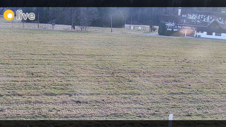 Rejvíz - Běžecké stopy - Rejvíz - Běžecké stopy - 16.12.2025 v 15:00