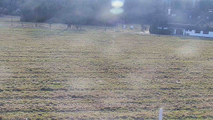 Rejvíz - Běžecké stopy - Rejvíz - Běžecké stopy - 18.12.2025 v 13:00 Rejvíz - Běžecké stopy - Rejvíz - Běžecké stopy - 18.12.2025 v 13:00