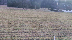 Rejvíz - Běžecké stopy