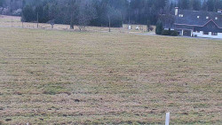 Rejvíz - Běžecké stopy