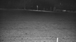 Rejvíz - Běžecké stopy