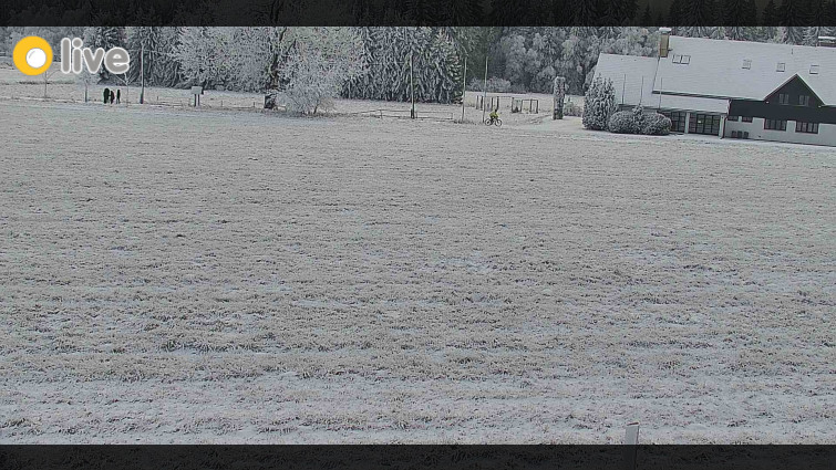 Rejvíz - Běžecké stopy - Rejvíz - Běžecké stopy - 25.12.2025 v 14:00