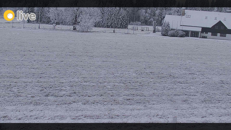 Rejvíz - Běžecké stopy - Rejvíz - Běžecké stopy - 25.12.2025 v 16:00