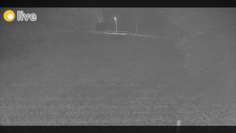 Rejvíz - Běžecké stopy - Rejvíz - Běžecké stopy - 25.12.2025 v 18:00