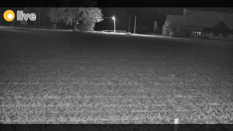 Rejvíz - Běžecké stopy - Rejvíz - Běžecké stopy - 25.12.2025 v 19:00