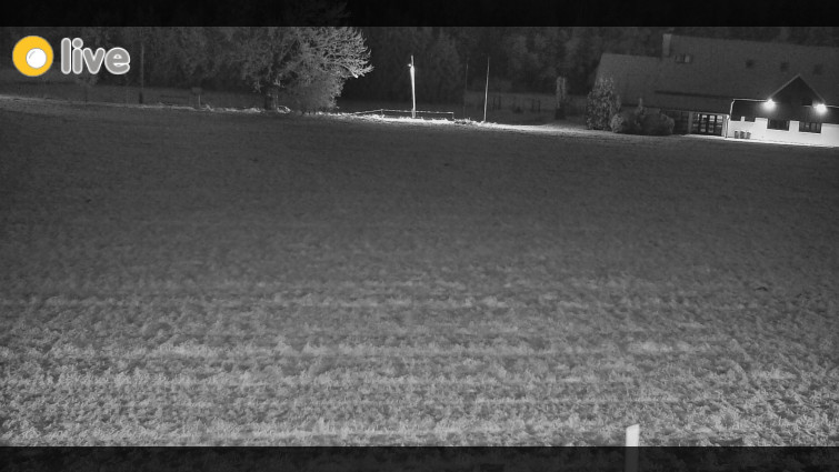 Rejvíz - Běžecké stopy - Rejvíz - Běžecké stopy - 26.12.2025 v 17:00