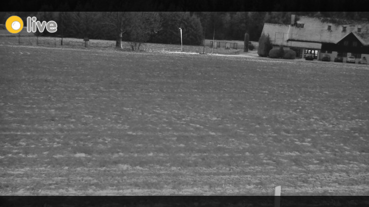 Rejvíz - Běžecké stopy - Rejvíz - Běžecké stopy - 28.12.2025 v 07:00