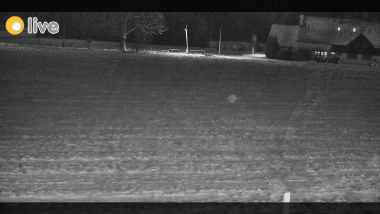 Rejvíz - Běžecké stopy - Rejvíz - Běžecké stopy - 30.12.2025 v 17:00