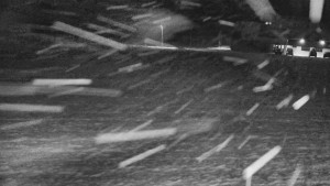 Rejvíz - Běžecké stopy - Rejvíz - Běžecké stopy - 2.1.2026 v 03:00