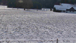 Rejvíz - Běžecké stopy