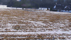 Rejvíz - Běžecké stopy