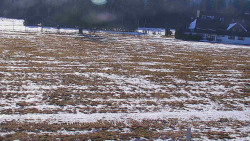 Rejvíz - Běžecké stopy