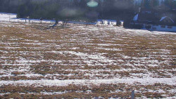 Rejvíz - Běžecké stopy