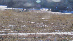 Rejvíz - Běžecké stopy