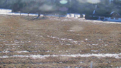 Rejvíz - Běžecké stopy