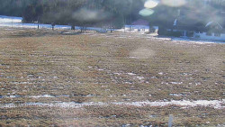 Rejvíz - Běžecké stopy