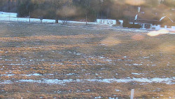 Rejvíz - Běžecké stopy