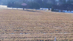 Rejvíz - Běžecké stopy