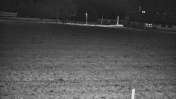 Rejvíz - Běžecké stopy