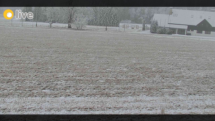 Rejvíz - Běžecké stopy - Rejvíz - Běžecké stopy - 30.1.2026 v 12:00