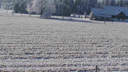 Rejvíz - Běžecké stopy