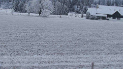 Rejvíz - Běžecké stopy