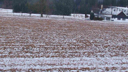 Rejvíz - Běžecké stopy