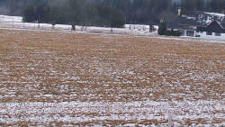 Rejvíz - Běžecké stopy