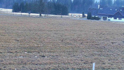 Rejvíz - Běžecké stopy