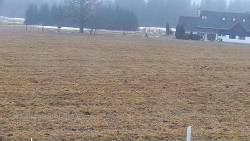 Rejvíz - Běžecké stopy