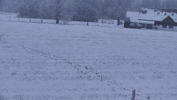 Rejvíz - Běžecké stopy