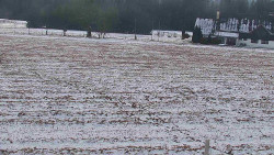 Rejvíz - Běžecké stopy