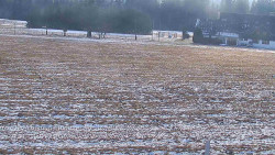 Rejvíz - Běžecké stopy