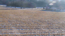 Rejvíz - Běžecké stopy