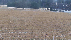 Rejvíz - Běžecké stopy