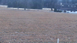 Rejvíz - Běžecké stopy