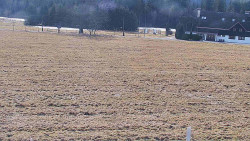 Rejvíz - Běžecké stopy